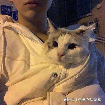姬战三国破百度版下载